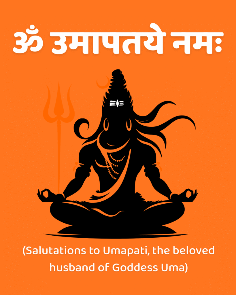 Om Umapataye Namah – Salutations to the Consort of Goddess Uma